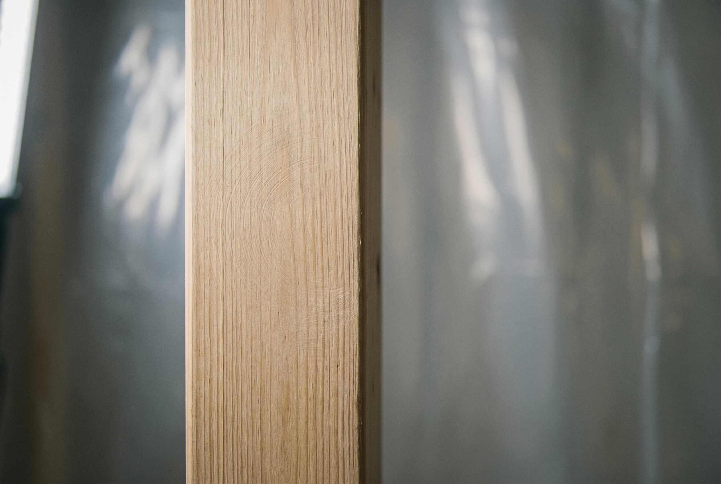 Close-up of mold growth pattern