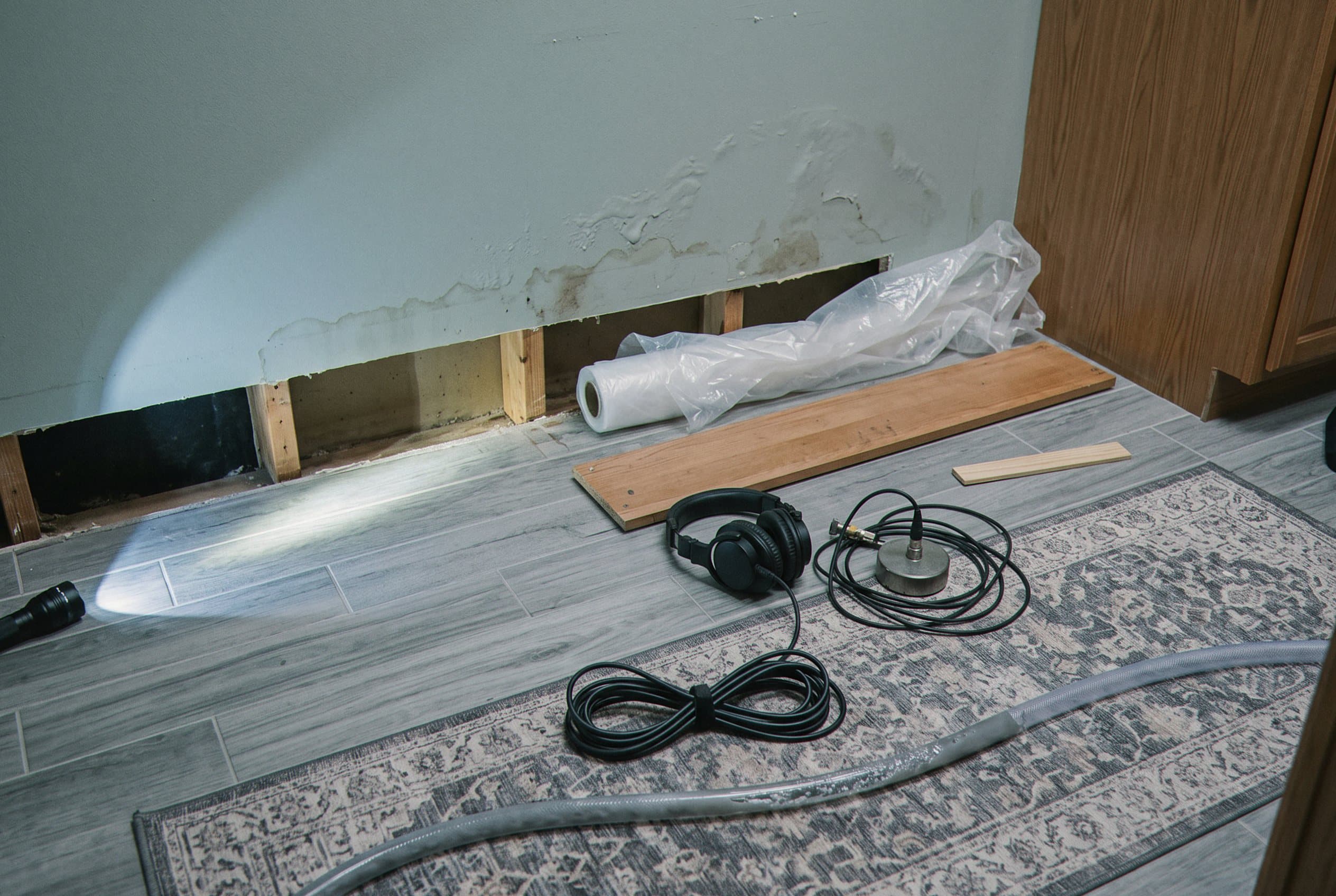 Moisture meter and detection tools